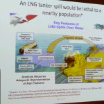 LNG FEAR MONGERING_REGWATCH_DR EOIN FINN