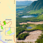 GREAT BEAR RAIN FORREST