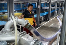 The cost of farming fish on land