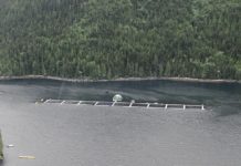 First Nations fish farm deal sets the table for aquaculture expansion