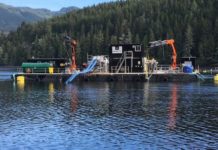 Wild salmon have lower carbon footprint than farmed fish