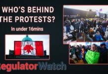 Who’s Behind the Protests? | In under 16mins
