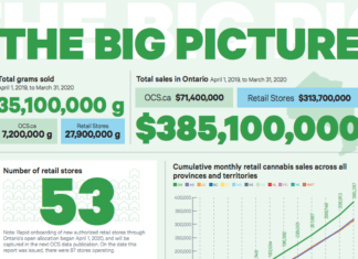A Year in Review (2019-2020): Ontario’s first full year of legal cannabis operations