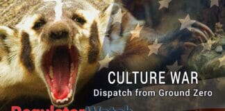 Culture War | Dispatch from Ground Zero | RegWatch