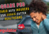 Square Peg | Ontario Auto Insurers Push Cookie-Cutter Healthcare | RegWatch